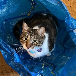 Meet your Posher, Lilly